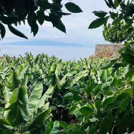 Casa Patio Fincaecoamaro