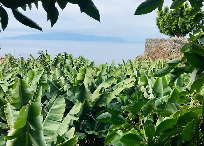 Casa Patio Fincaecoamaro